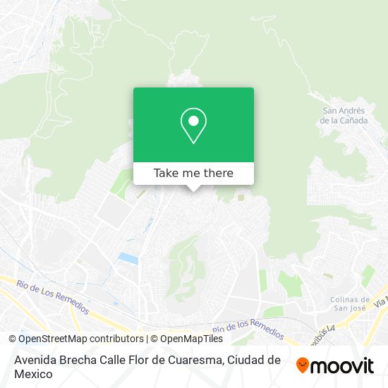 Avenida Brecha Calle Flor de Cuaresma map