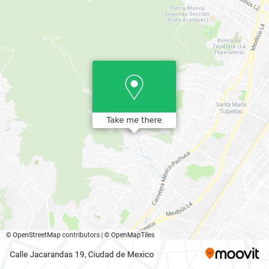 Calle Jacarandas 19 map