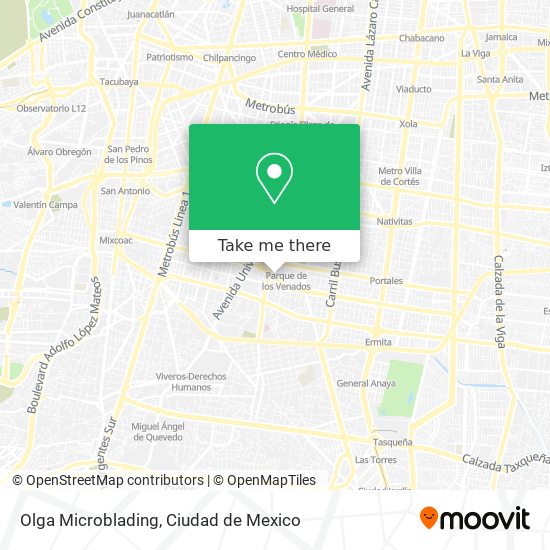 Olga Microblading map