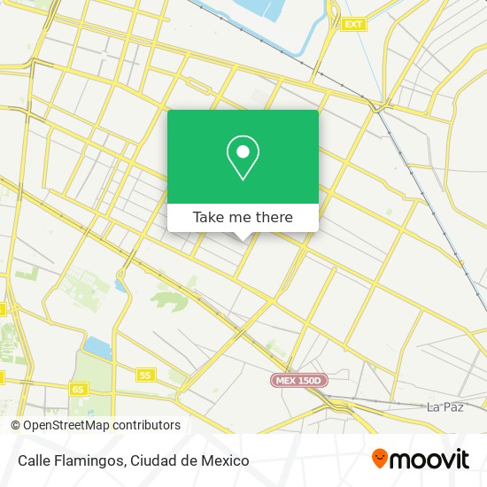 Calle Flamingos map