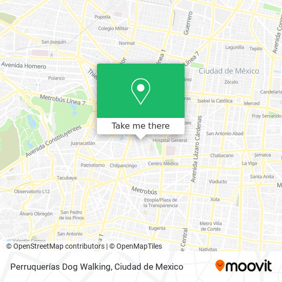 Perruquerías Dog Walking map