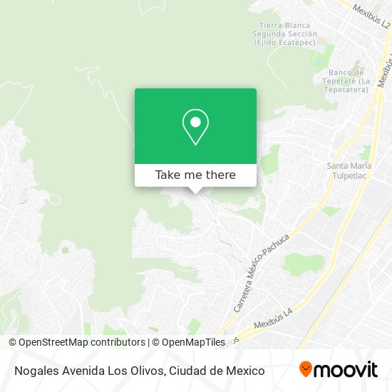 Mapa de Nogales Avenida Los Olivos