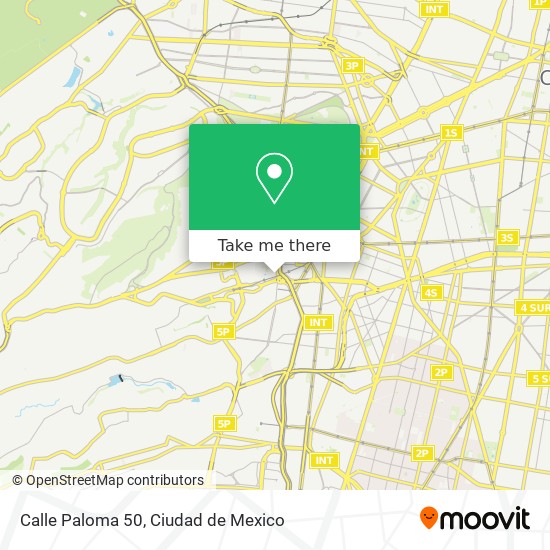Calle Paloma 50 map