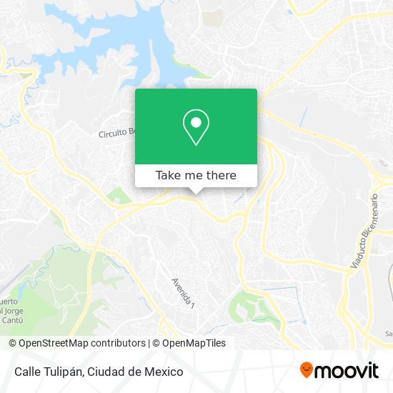 Calle Tulipán map