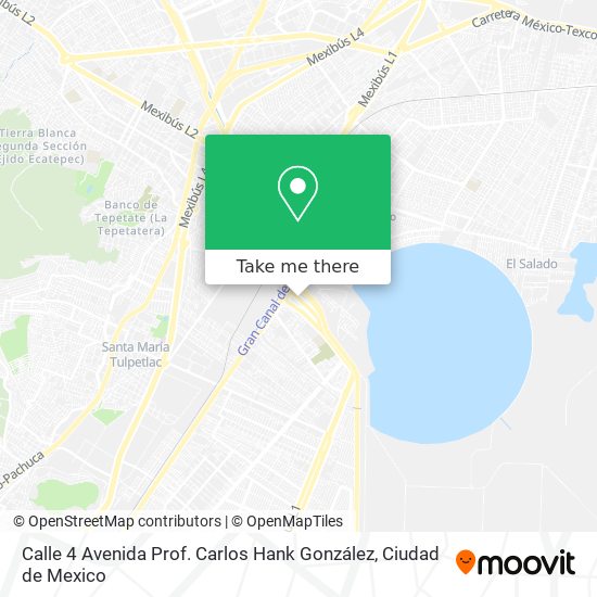 Calle 4 Avenida Prof. Carlos Hank González map