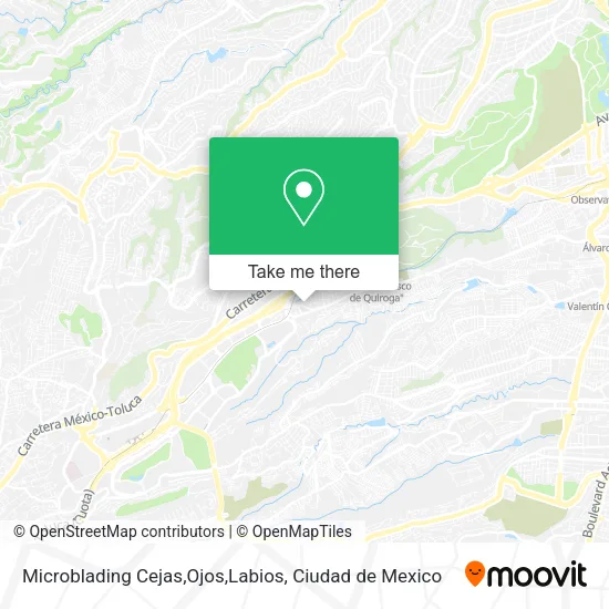 Mapa de Microblading Cejas,Ojos,Labios