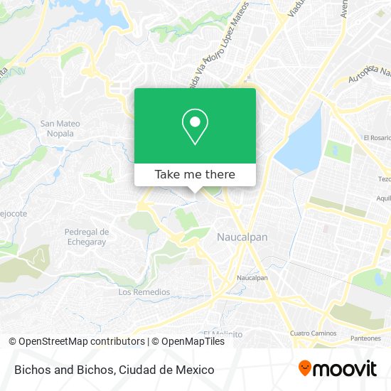 Mapa de Bichos and Bichos