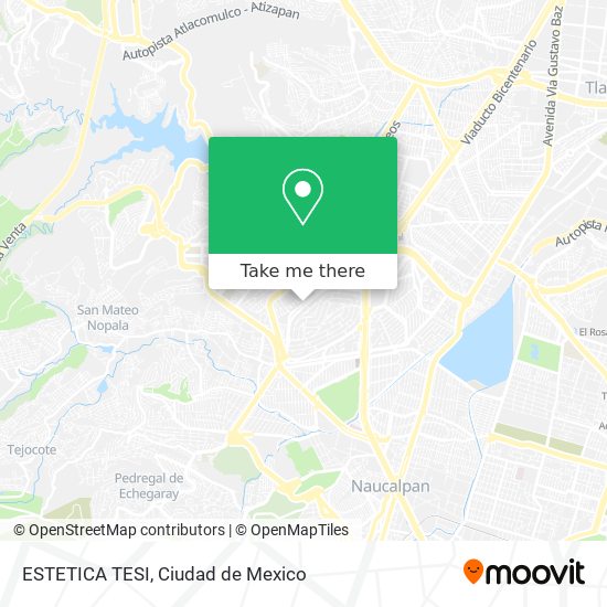 ESTETICA TESI map