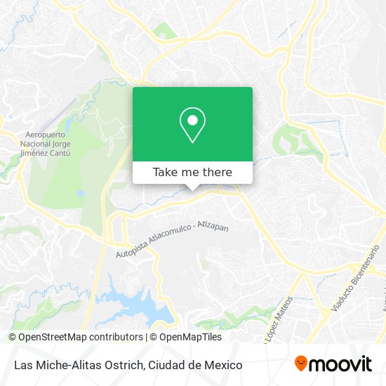 Las Miche-Alitas Ostrich map