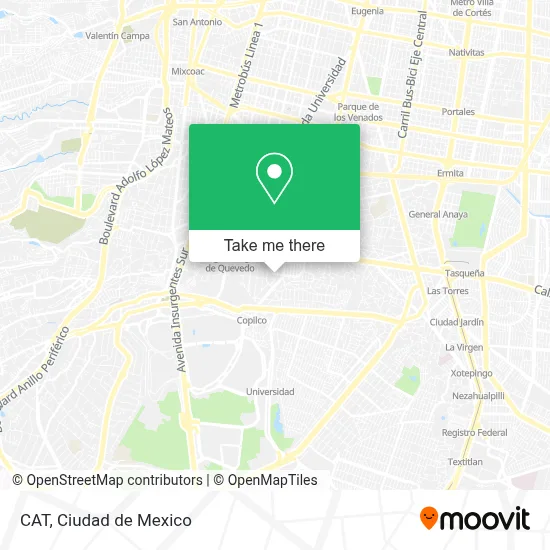 CAT map