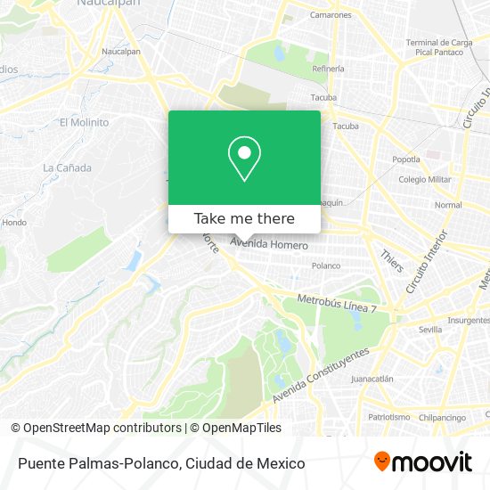 Mapa de Puente Palmas-Polanco