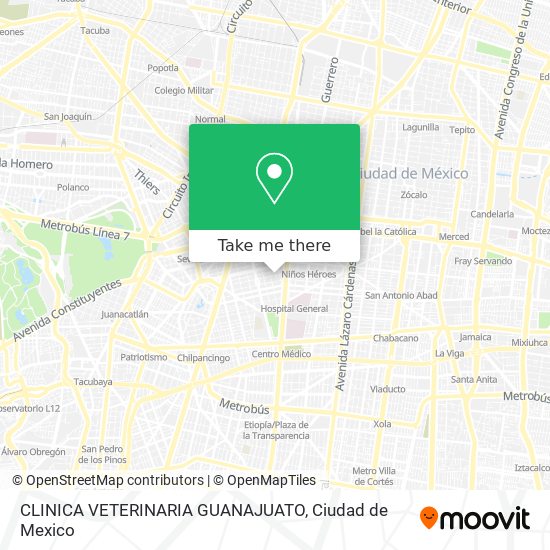 CLINICA VETERINARIA GUANAJUATO map