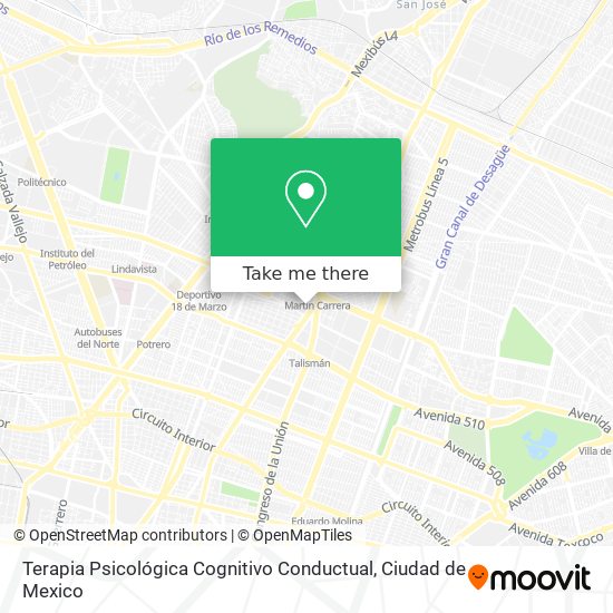 Terapia Psicológica Cognitivo Conductual map