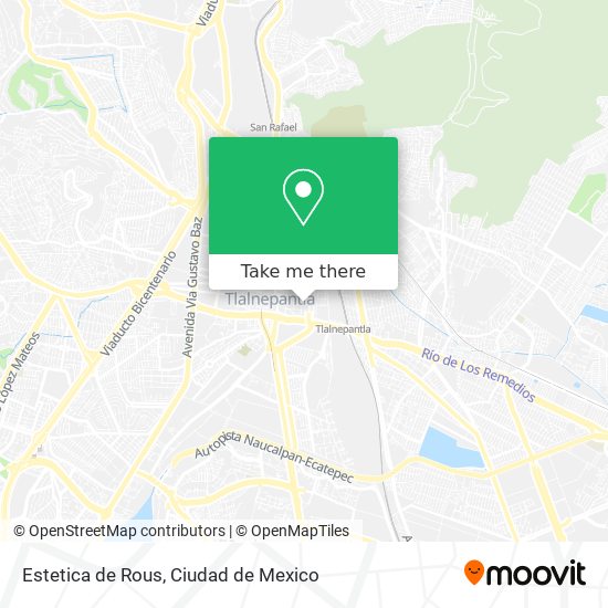 Estetica de Rous map