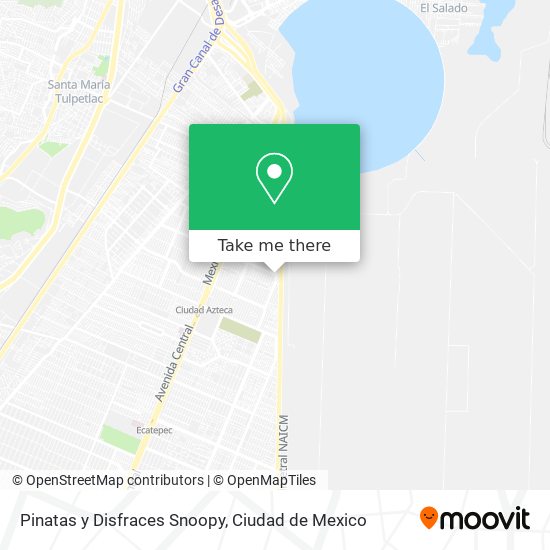 Mapa de Pinatas y Disfraces Snoopy