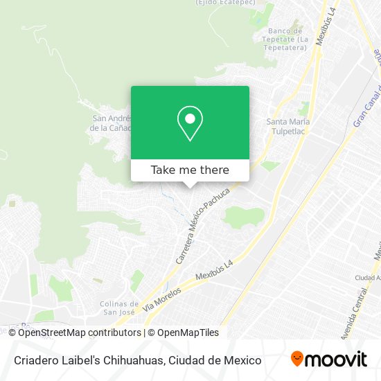 Criadero Laibel's Chihuahuas map