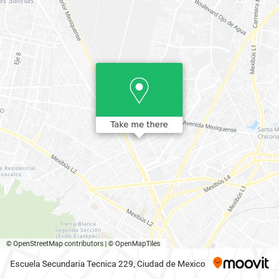 Escuela Secundaria Tecnica 229 map