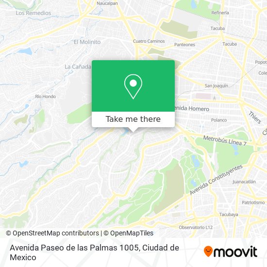 Mapa de Avenida Paseo de las Palmas 1005