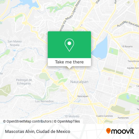 Mascotas Alvin map