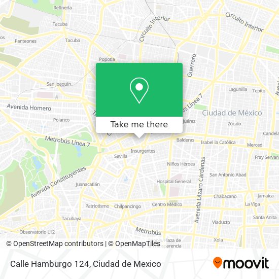Calle Hamburgo 124 map