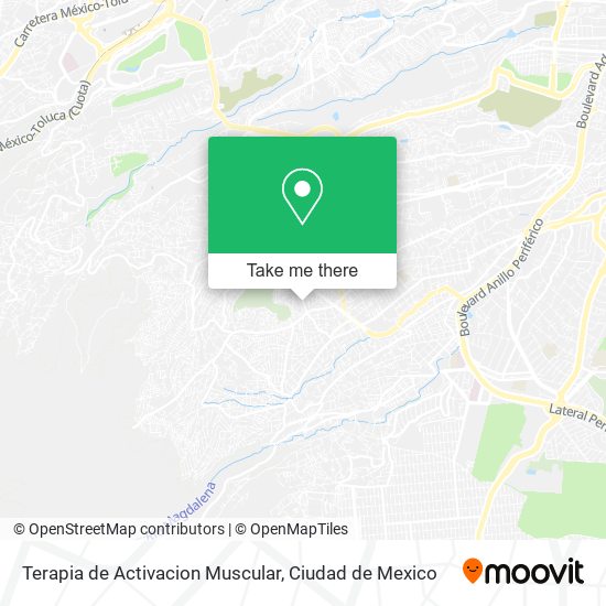 Mapa de Terapia de Activacion Muscular