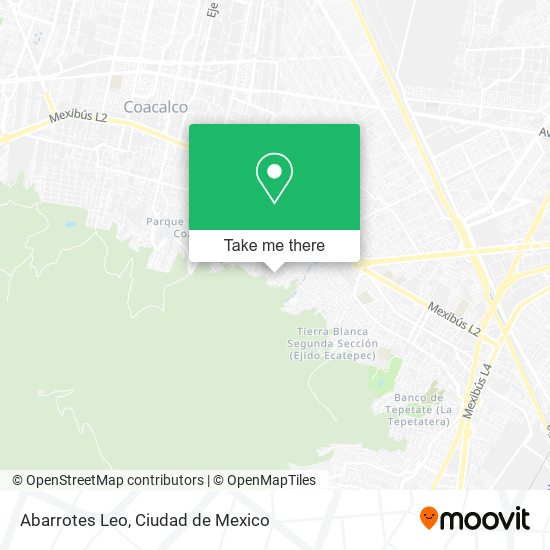 Abarrotes Leo map