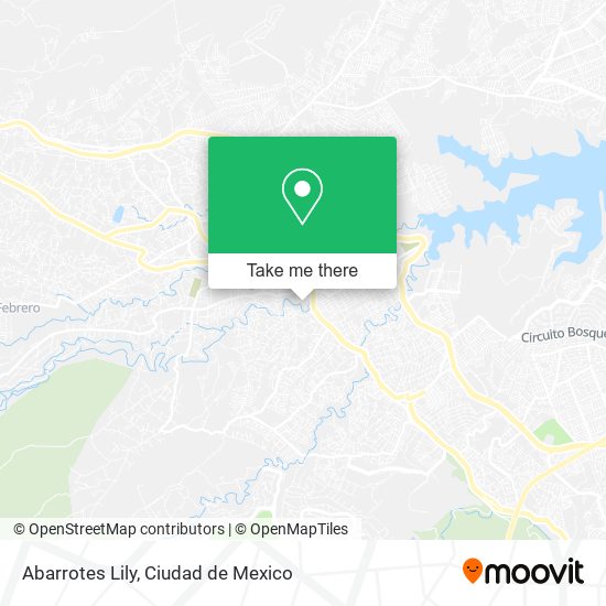 Abarrotes Lily map