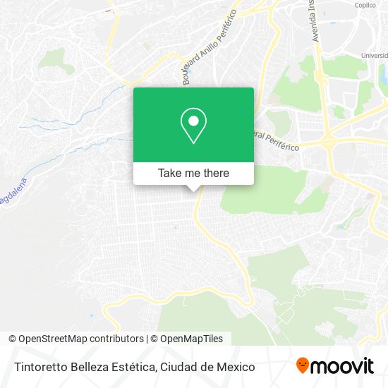 Tintoretto Belleza Estética map