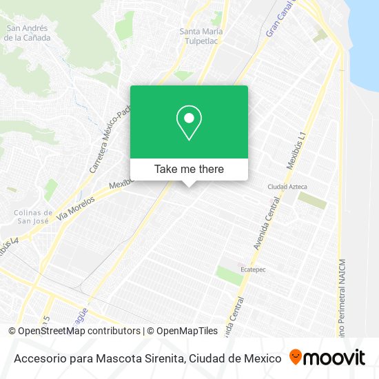 Accesorio para Mascota Sirenita map