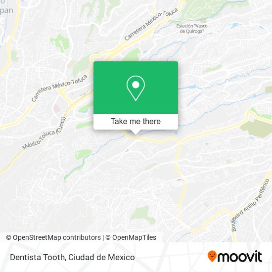 Dentista Tooth map