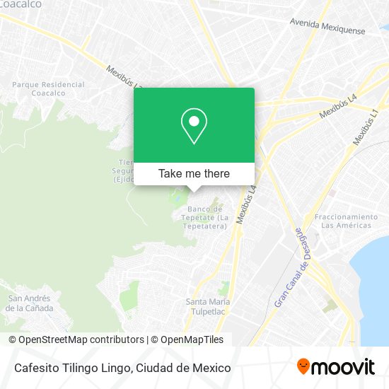 Cafesito Tilingo Lingo map