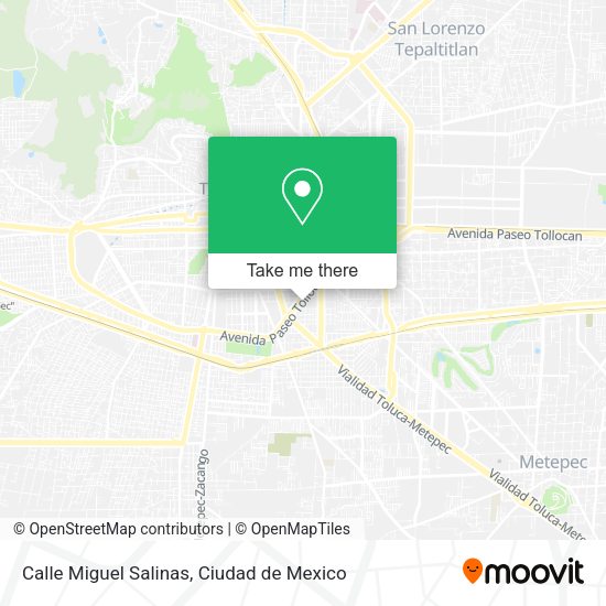Mapa de Calle Miguel Salinas