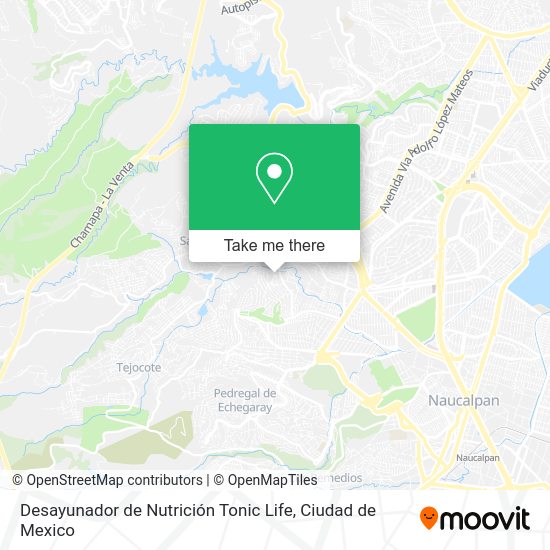 Desayunador de Nutrición Tonic Life map