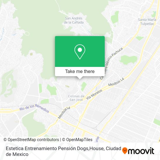 Estetica Entrenamiento Pensión Dogs,House map