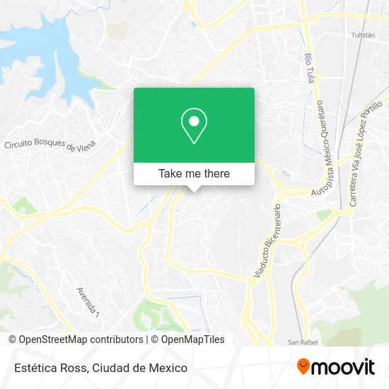Estética Ross map