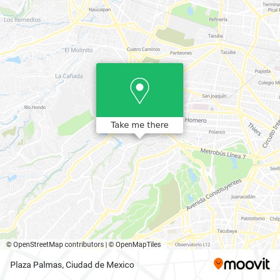 Mapa de Plaza Palmas