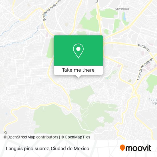 tianguis pino suarez map