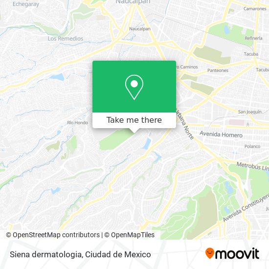 Mapa de Siena dermatologia