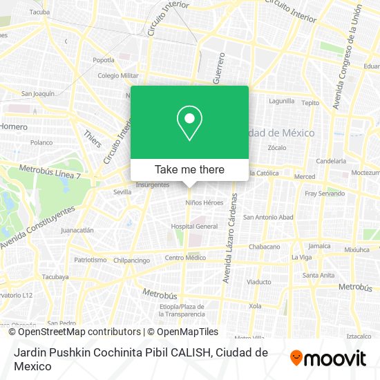 Mapa de Jardin Pushkin Cochinita Pibil CALISH