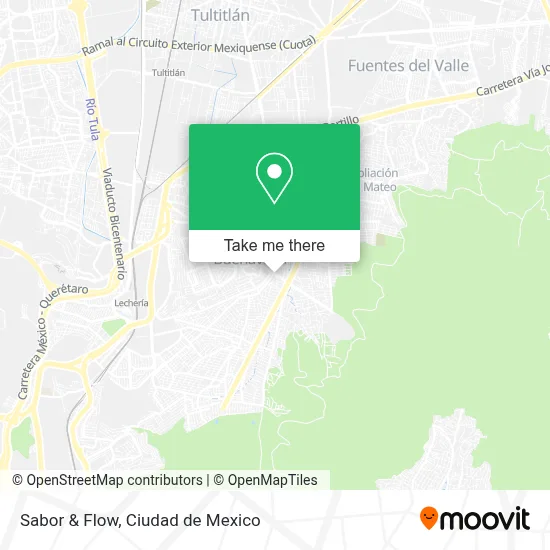 Sabor & Flow map