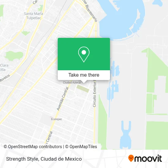 Strength Style map