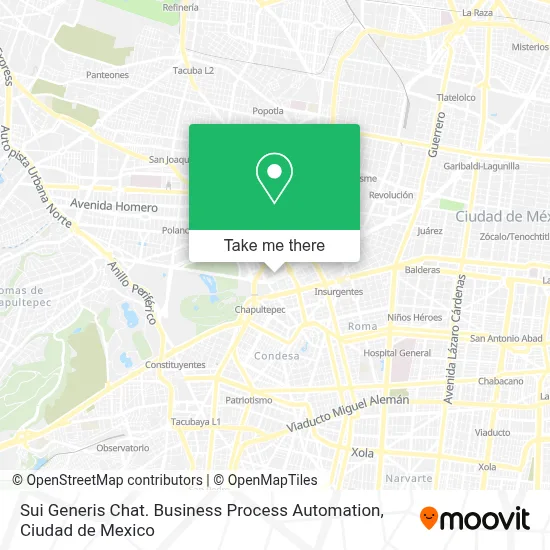 Sui Generis Chat. Business Process Automation map