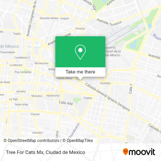 Tree For Cats Mx map