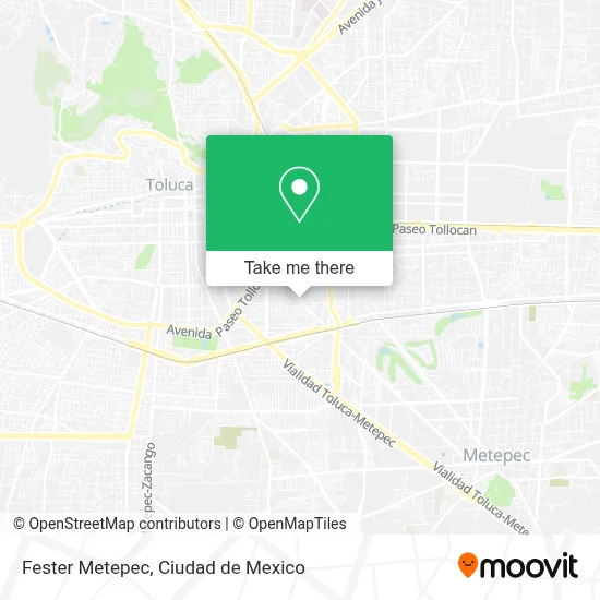 Fester Metepec map