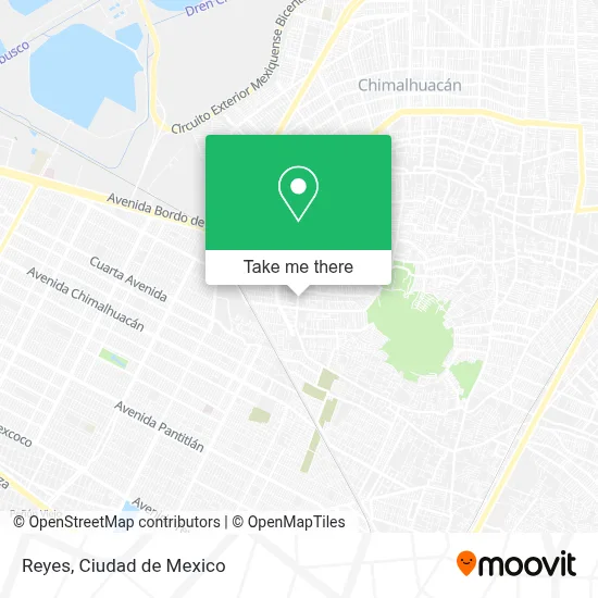 Reyes map