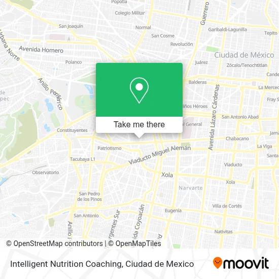 Intelligent Nutrition Coaching map