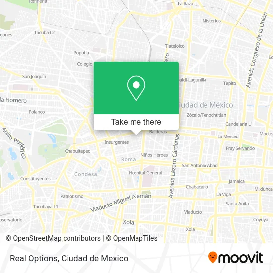 Real Options map