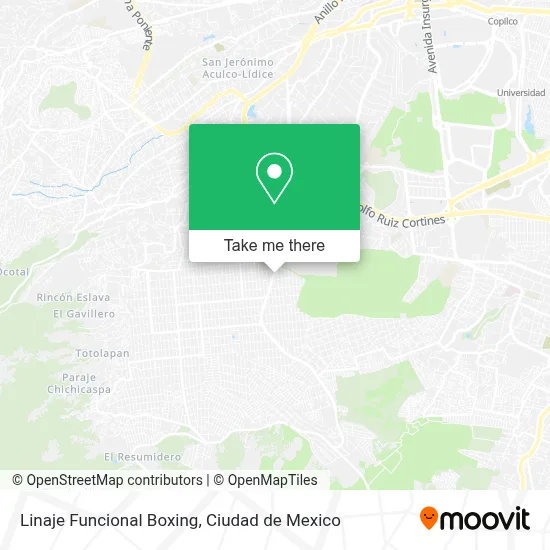 Linaje Funcional Boxing map