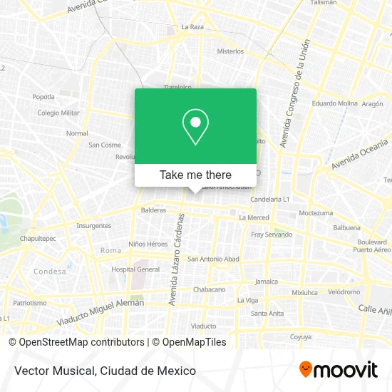 Vector Musical map