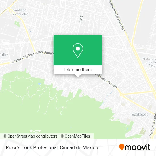 Ricci 's Look Profesional map